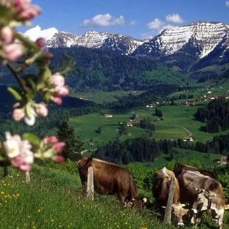 Apartmán Holiday Schneerosenblute, Oberstaufen-steibis